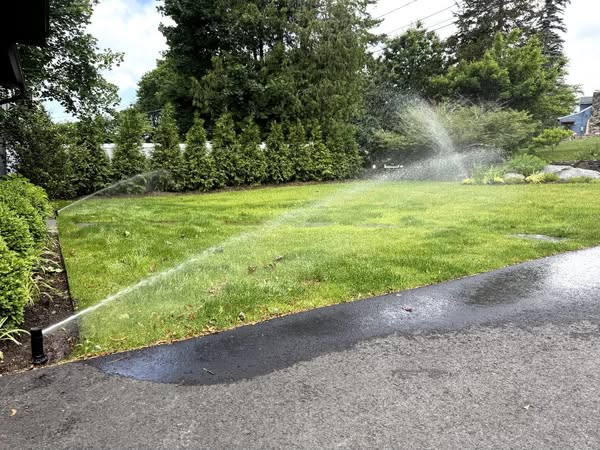 Lawn Sprinkler