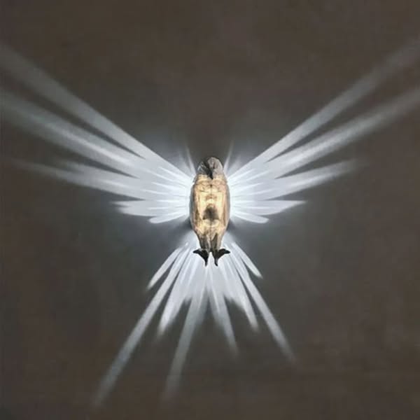 Shop for LED Lighting