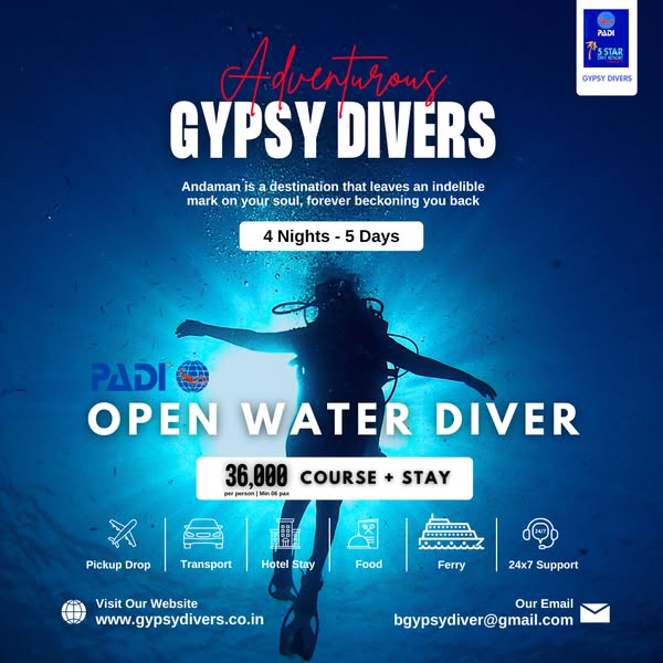 diver