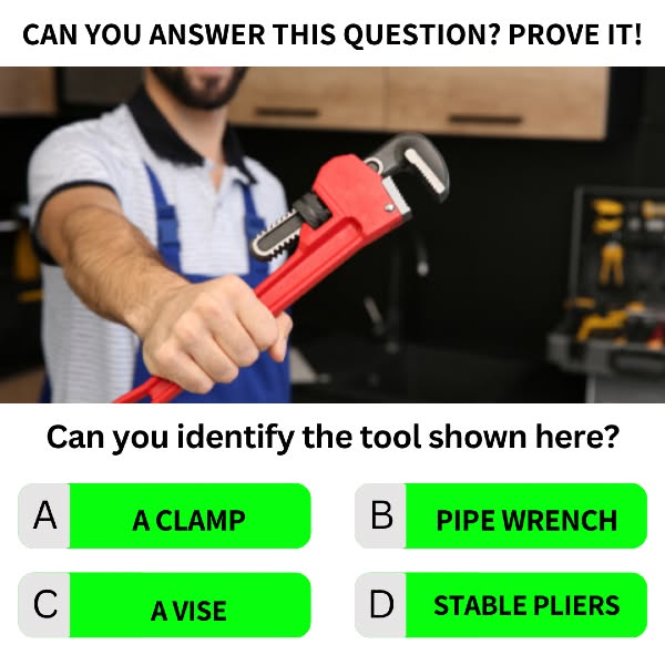 Needle Nose Pliers