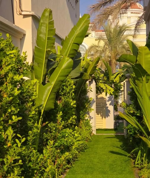 Elegant entrance