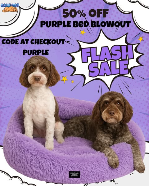 Flash Sale