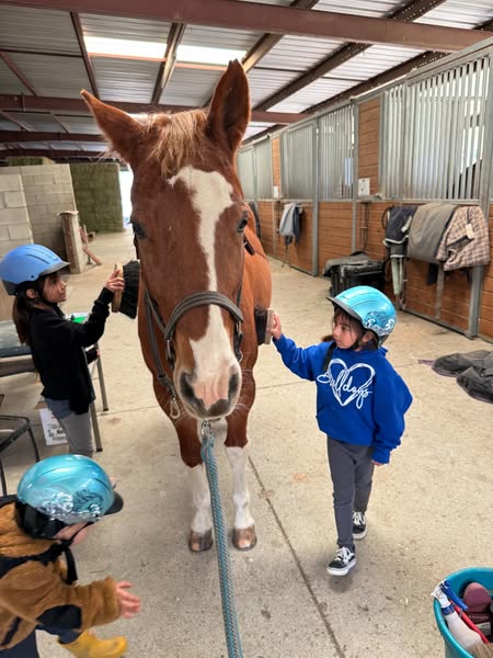 Safe horseback