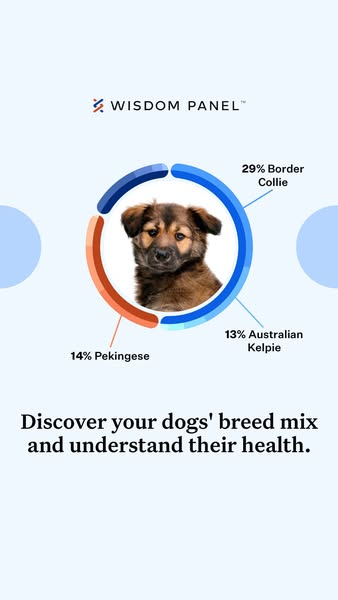 Shop for Pet Health