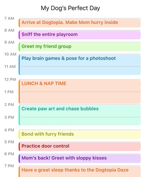 Exciting daycare