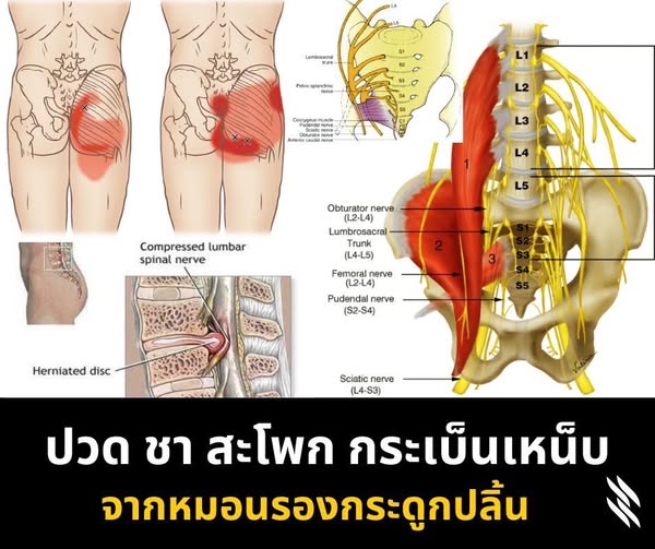 Dynamic neurological