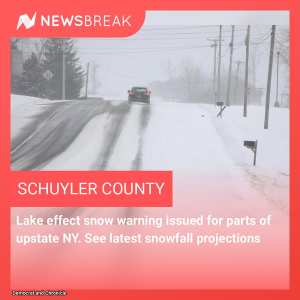 Winter Snowfall