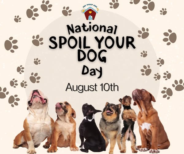 Shop for pet grooming