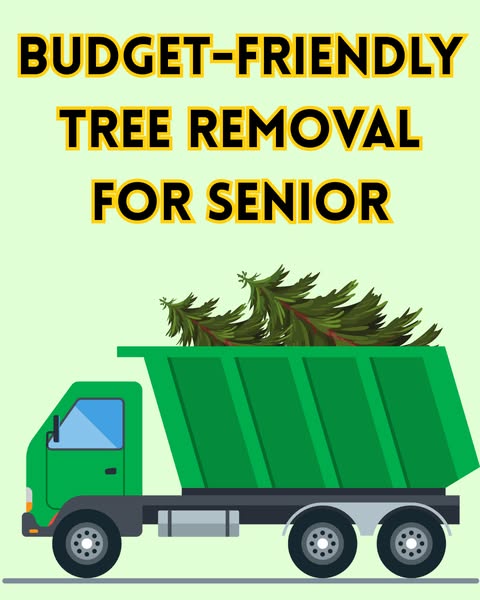 Effective senior