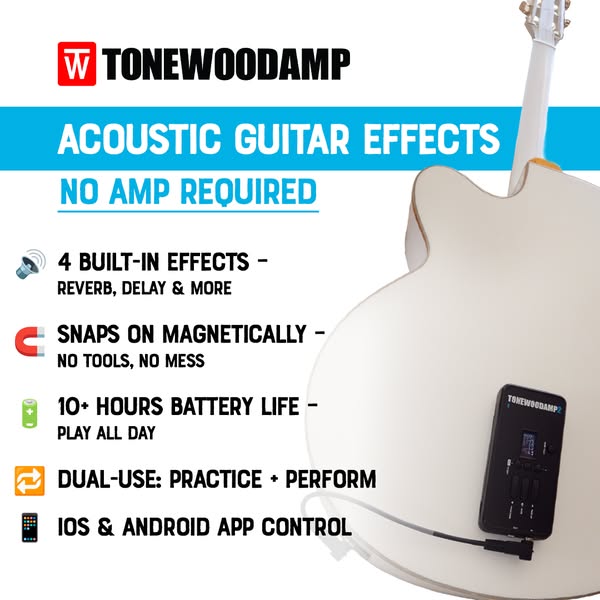 Acoustic Guitar