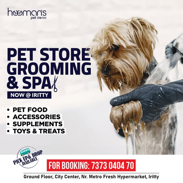 Shop for pet grooming