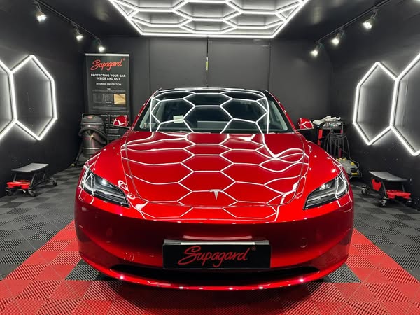 Cutting-edge satisfied