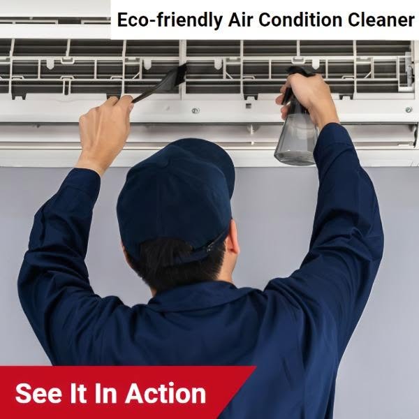 Eco-friendly pioneer