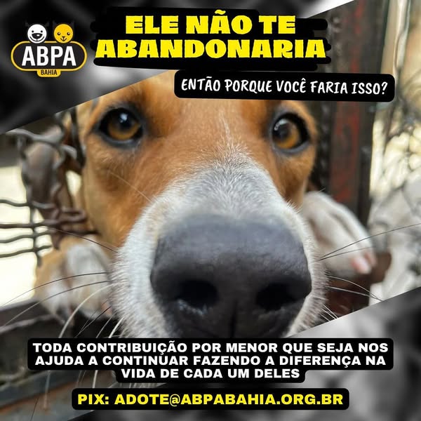bradesco.com.br