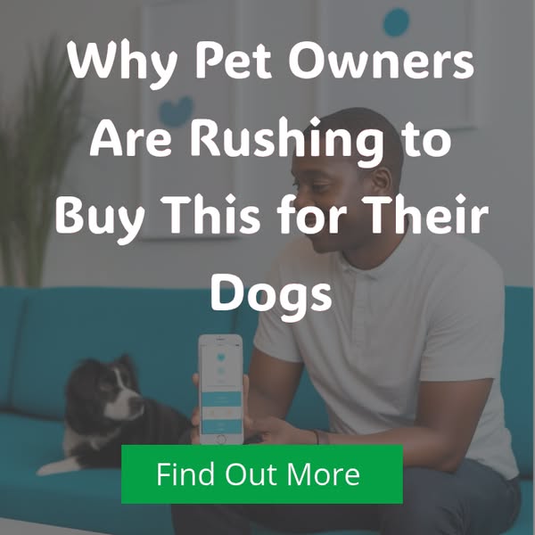 Cutting-edge pet