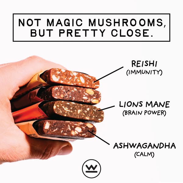Wise mushroom