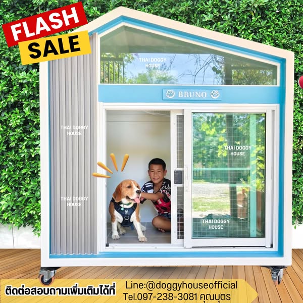 Smart Pet Door