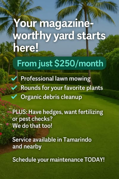 Affordable consultation