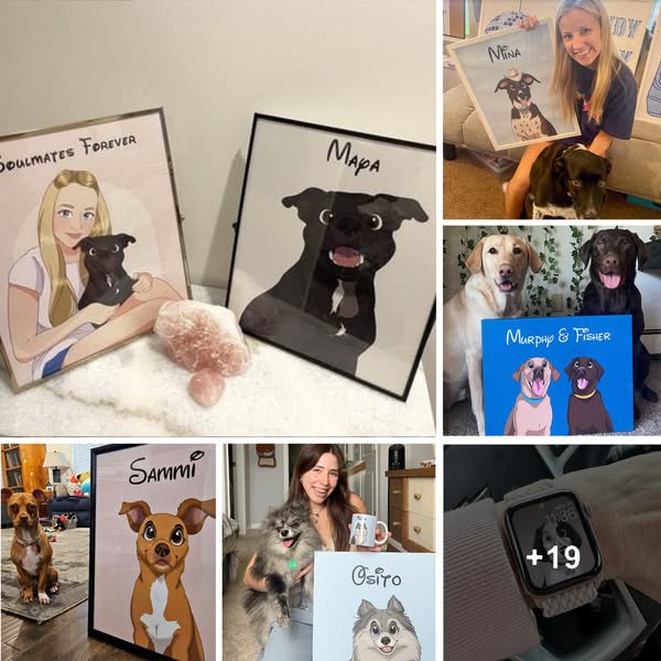 Shop for pet care products
