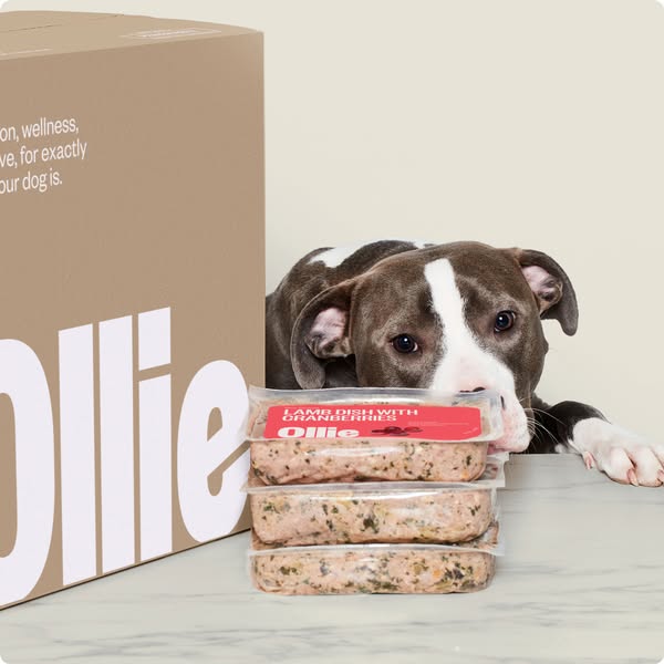 Shop for pet food