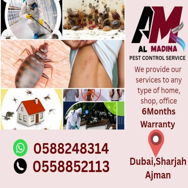 Shop Services