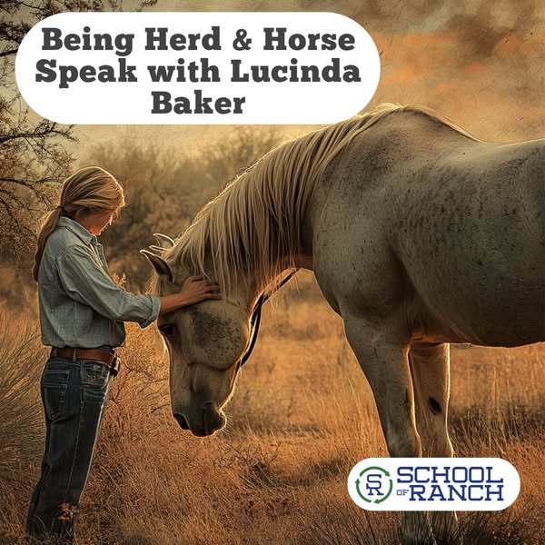 Practical herd