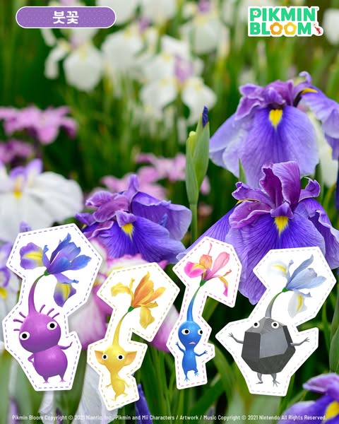 Pikmin Bloom
