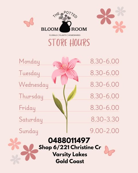 Shop for In-Store Pickup