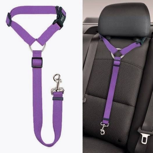 Adjustable Cat Harness