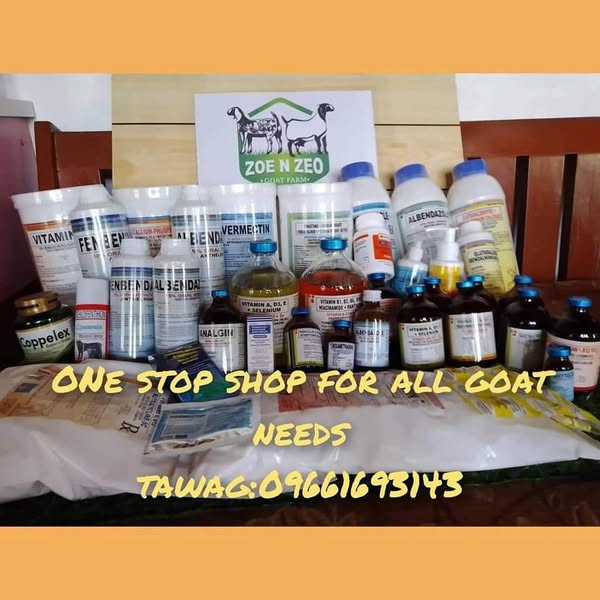 Shop for Emergency Kits
