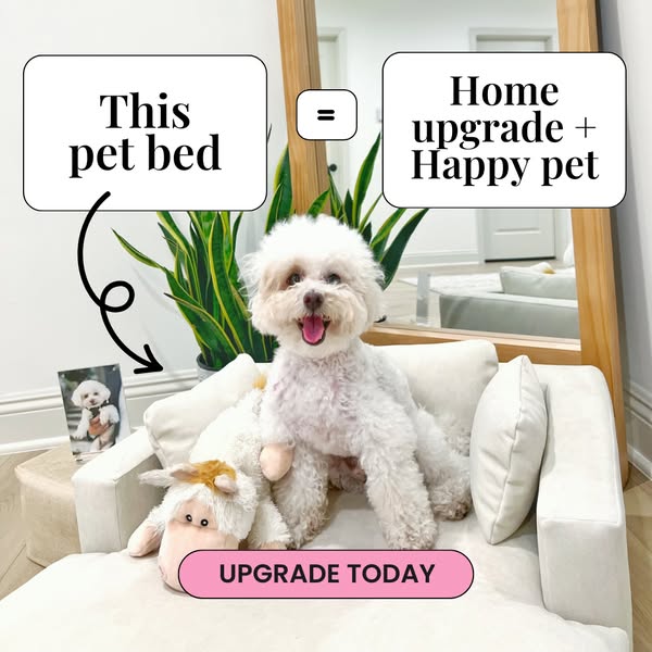 Modern better