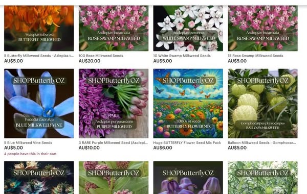 Shop by Category