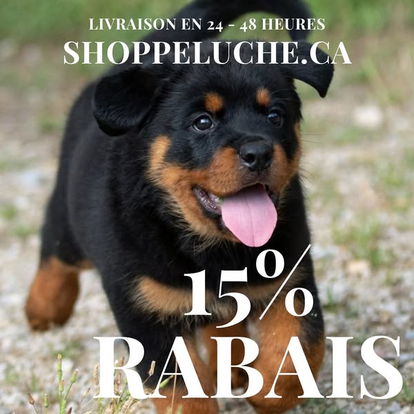 Shop Pet Food