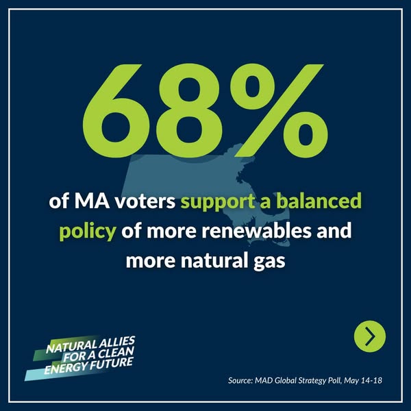 Affordable elected