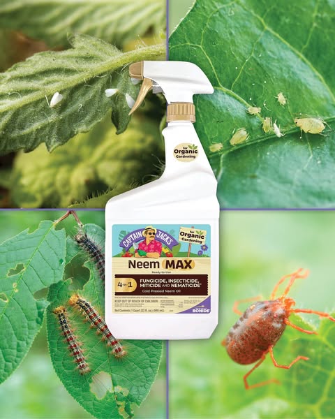 pesticide