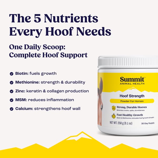 Shop for health supplements