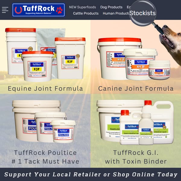 Shop for IT support