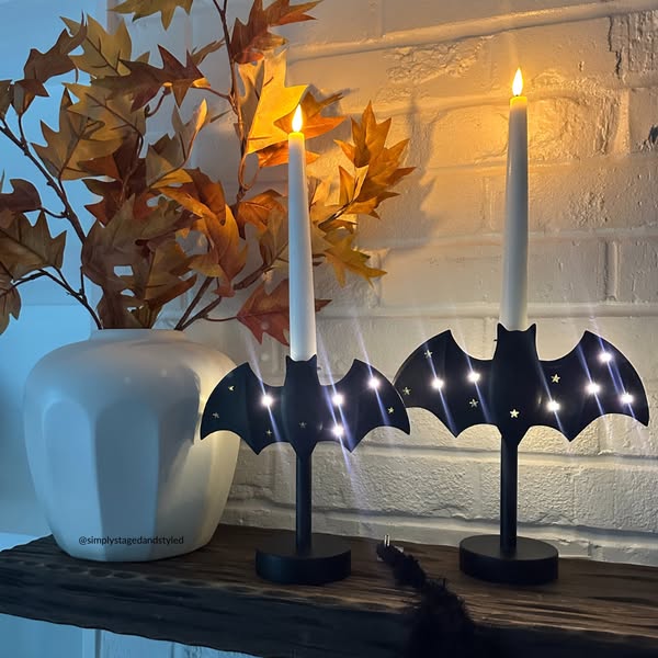 Shop for home decor accents
