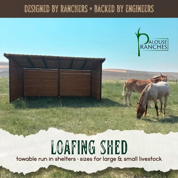 Durable shelter