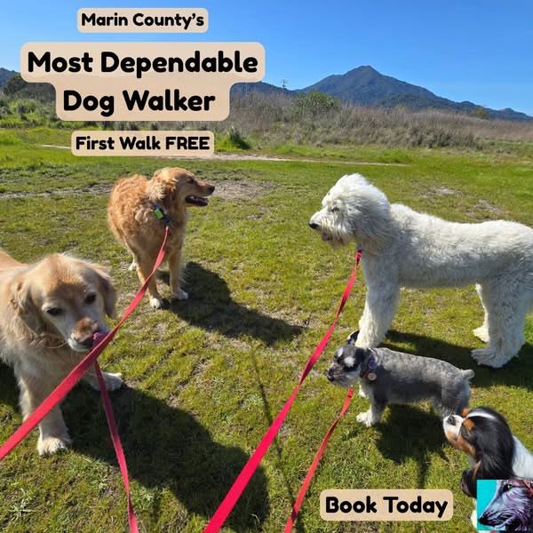 Dependable mill