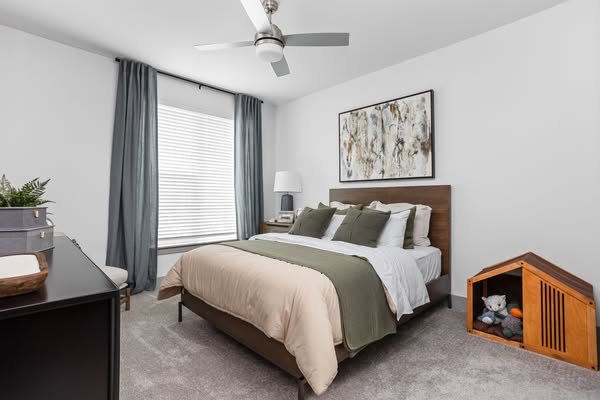 Luxurious rent
