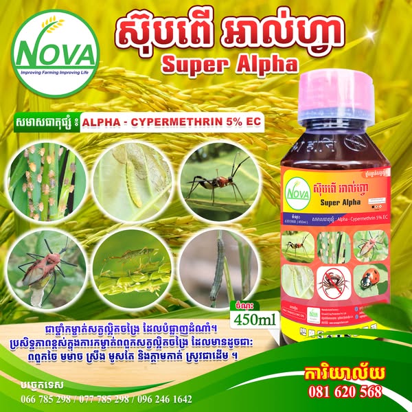 insecticide