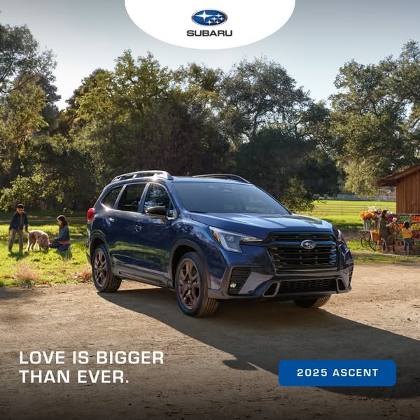 Stylish ascent