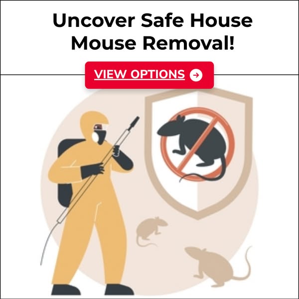 Effective mouse