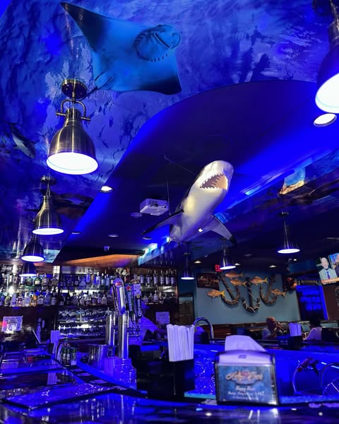 Fresh shark