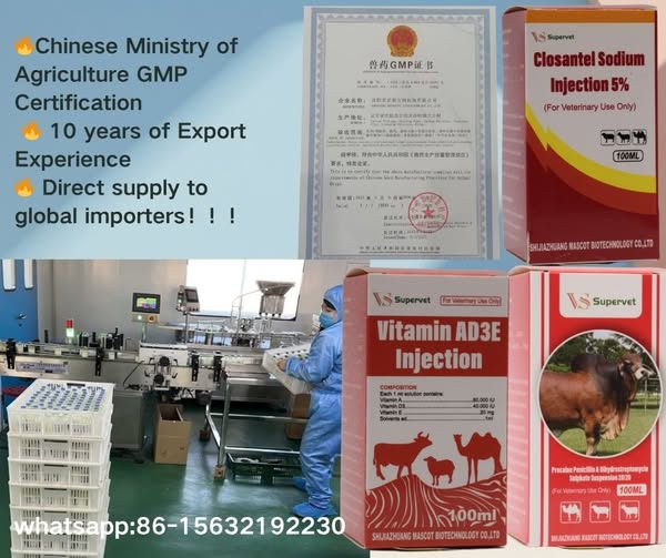 Customs Declaration