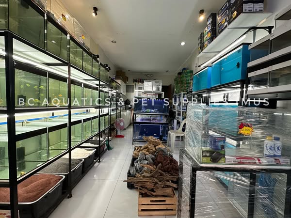 LED Grow Light