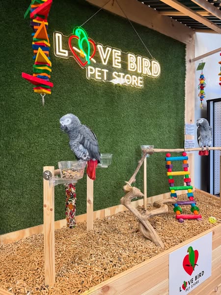 Shop for Pet Lovers