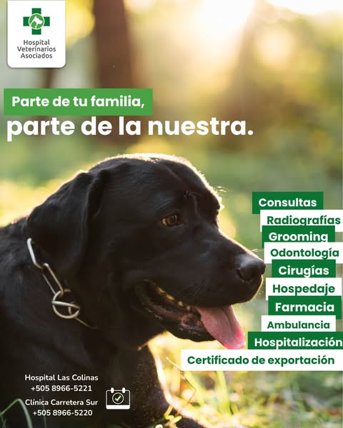 Shop for pet grooming