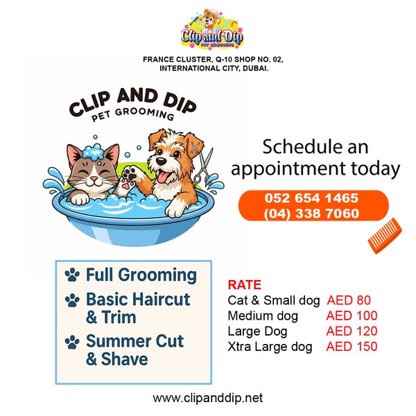 Shop for pet grooming